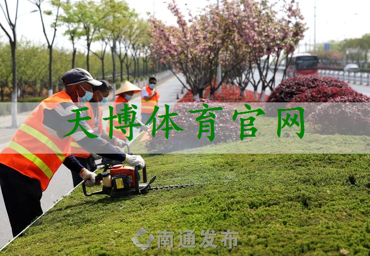 宁波城市绿化带种植什么植物好