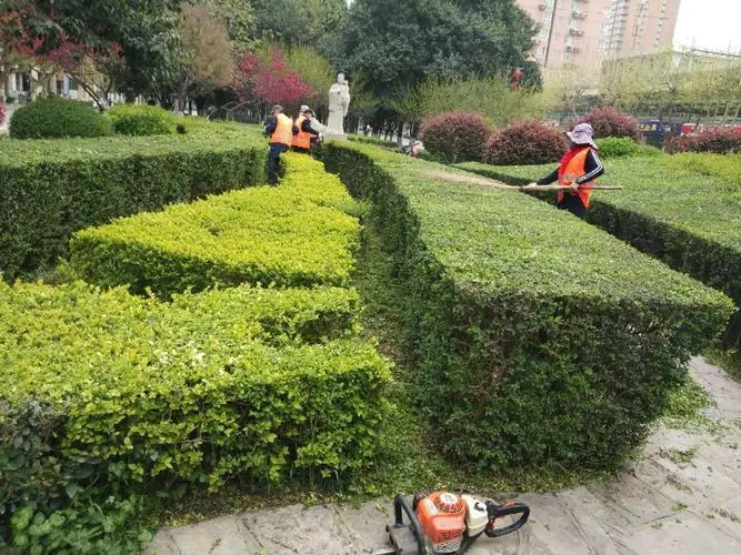 吉林市政绿化种植土单价