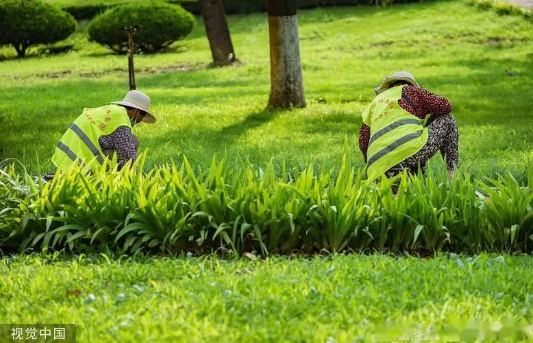 建瓯城市绿化护栏规范