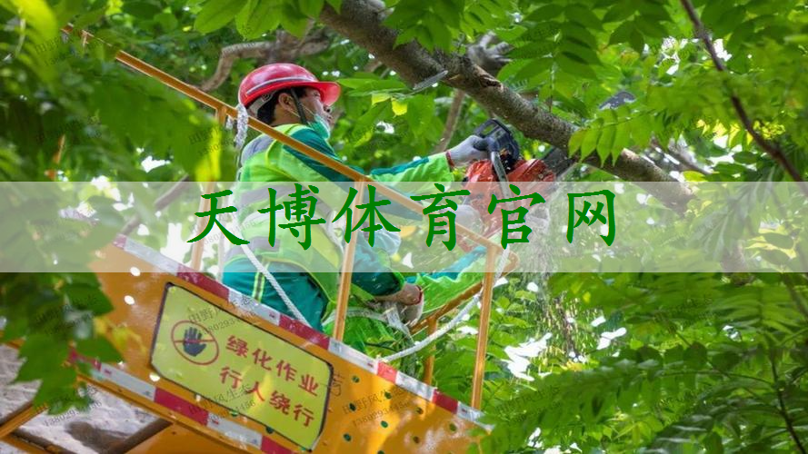 灵山聚龙湾绿化工程