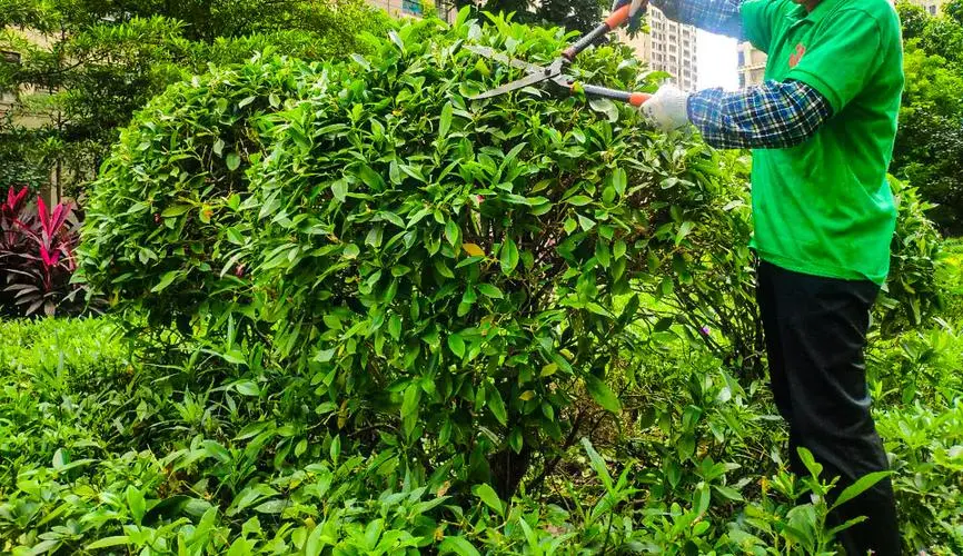 公寓园林景观设计